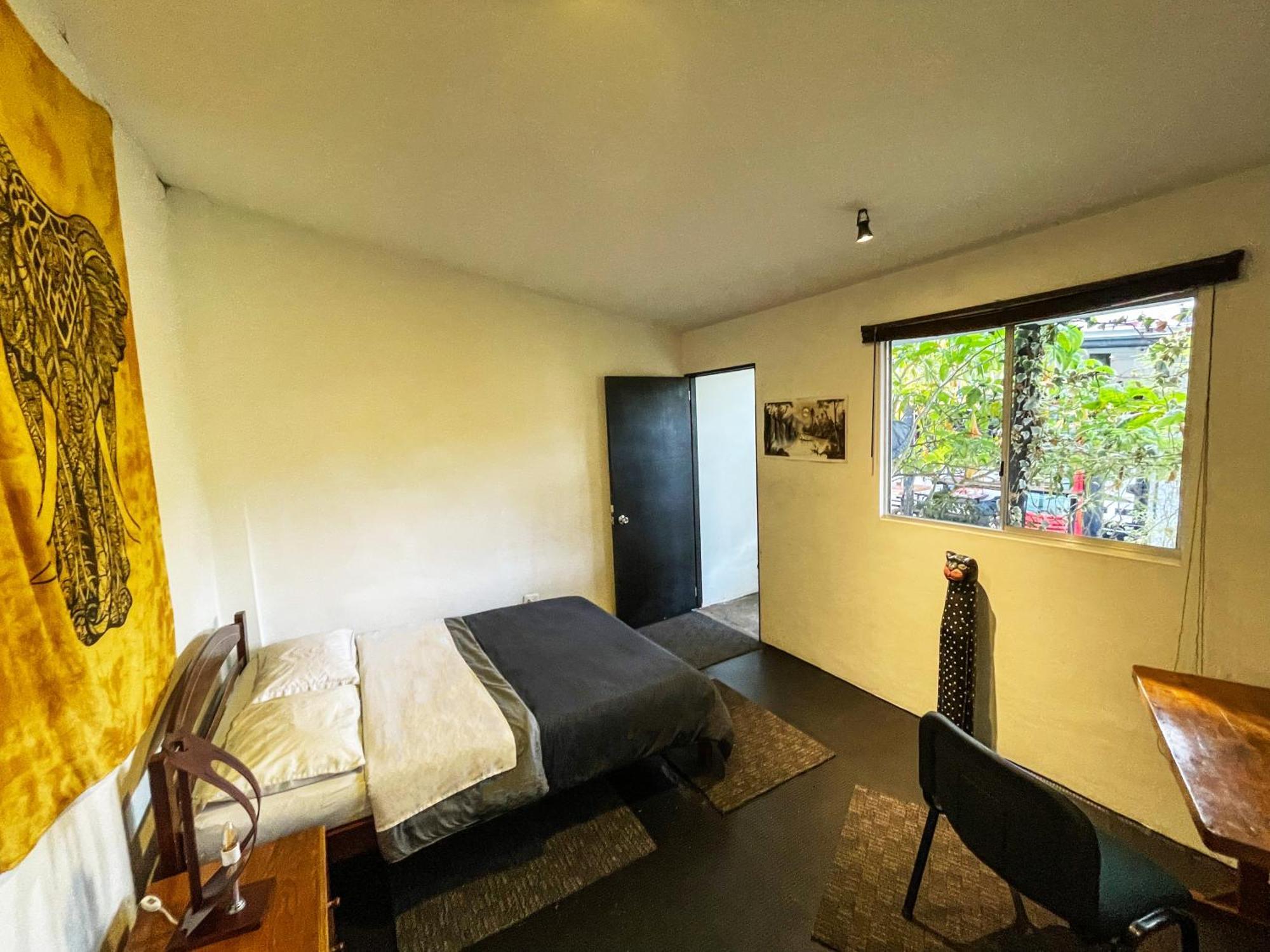 El Yarumo Hostel ボゴタ エクステリア 写真